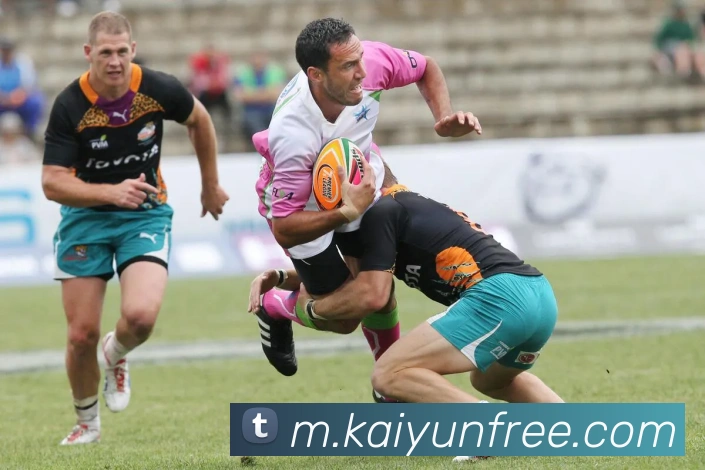 开云体育发展历程